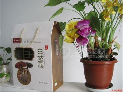 大山合精品年貨香菇，紅棗禮盒招商