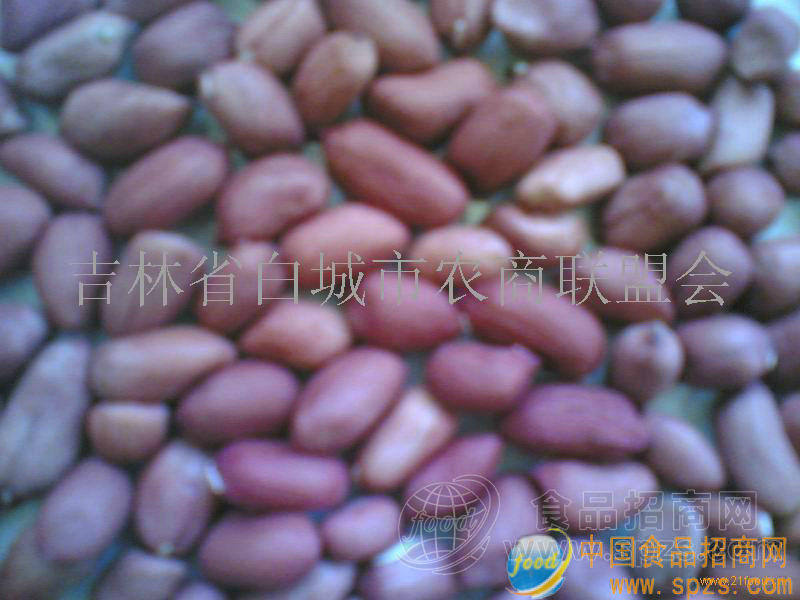 红皮花生