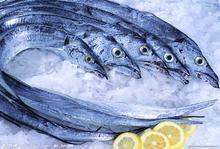 供應(yīng)印度帶魚(yú)  鉆石牌，批發(fā)海鮮凍品菇魚(yú)