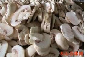 双孢蘑菇片