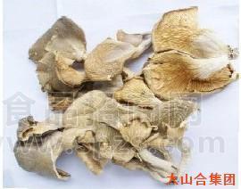 鲍鱼菇