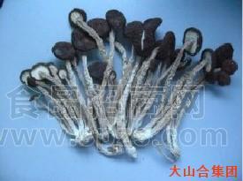 茶树菇 0