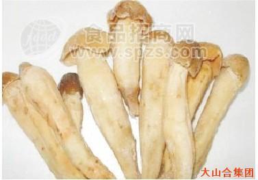 鸡枞菇