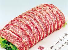 供应美国1号9628肥牛，供应4333牛肚 批发厂家价格