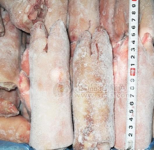 上海专柜直销美国254冷冻猪蹄猪筒骨猪肚