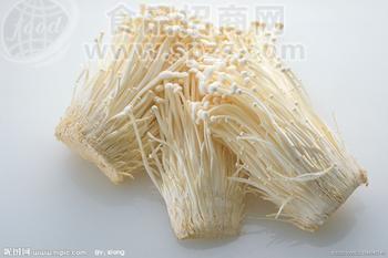金针菇5300元/吨