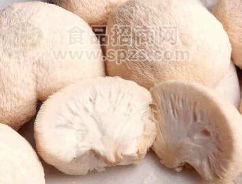 猴头菇24000元/吨