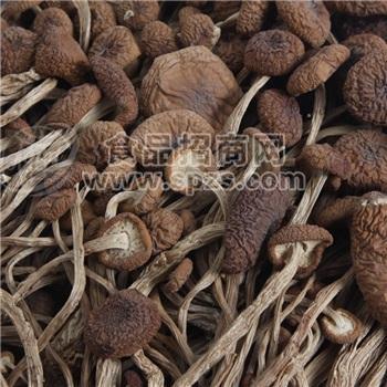茶树菇25000元/吨