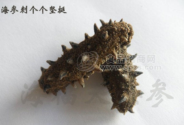 青岛蓝岛海福天精品半干海参