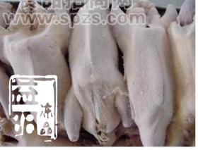 批发冷冻白条鸭