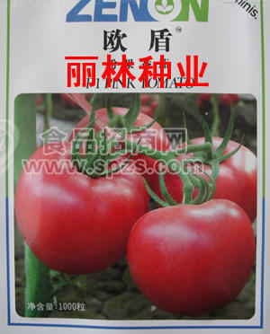欧盾番茄种子