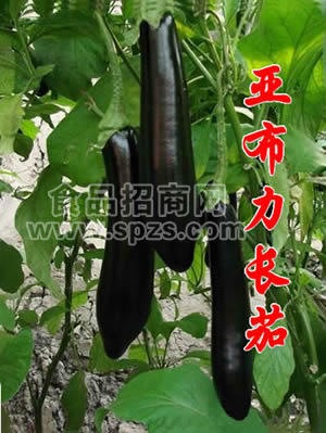 进口茄子种子-绿萼长茄种子-亚布力