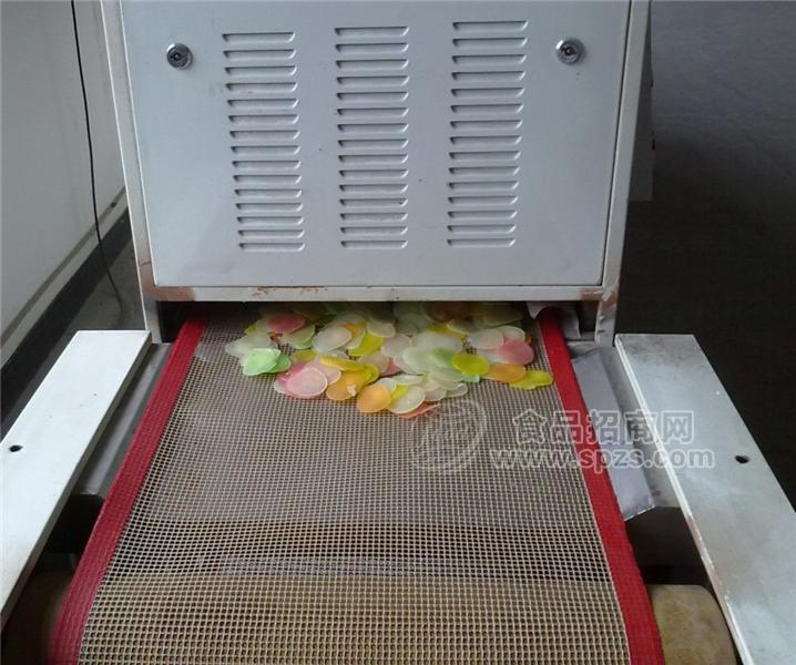 广东龙虾片微波烘干膨化设备