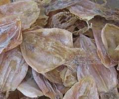 批发海鲜干制品干贝海参海蛏干虾仁虾皮小鱼干淡菜干银鱼干