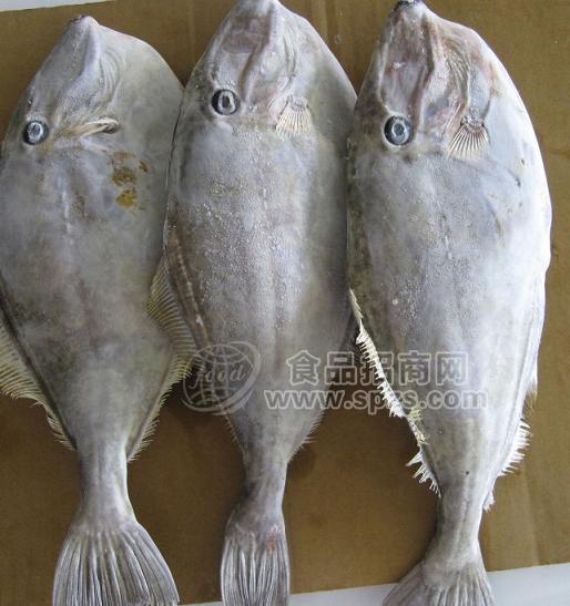 批發(fā)冷凍墨魚(yú)邊冷凍魷魚(yú)冷凍墨魚(yú)頭冷凍墨魚(yú)冷凍魷魚(yú)嘴