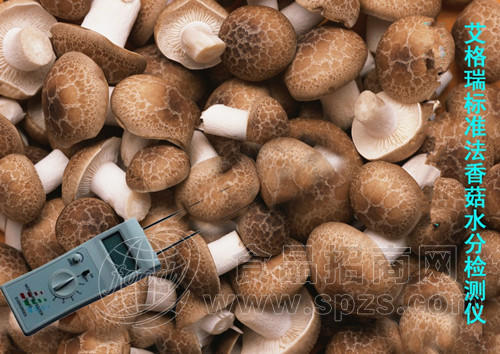 SH食用菌水分仪/福建鱼糜水分测定仪