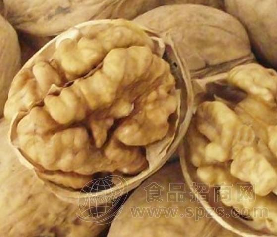 薄皮核桃批发价格