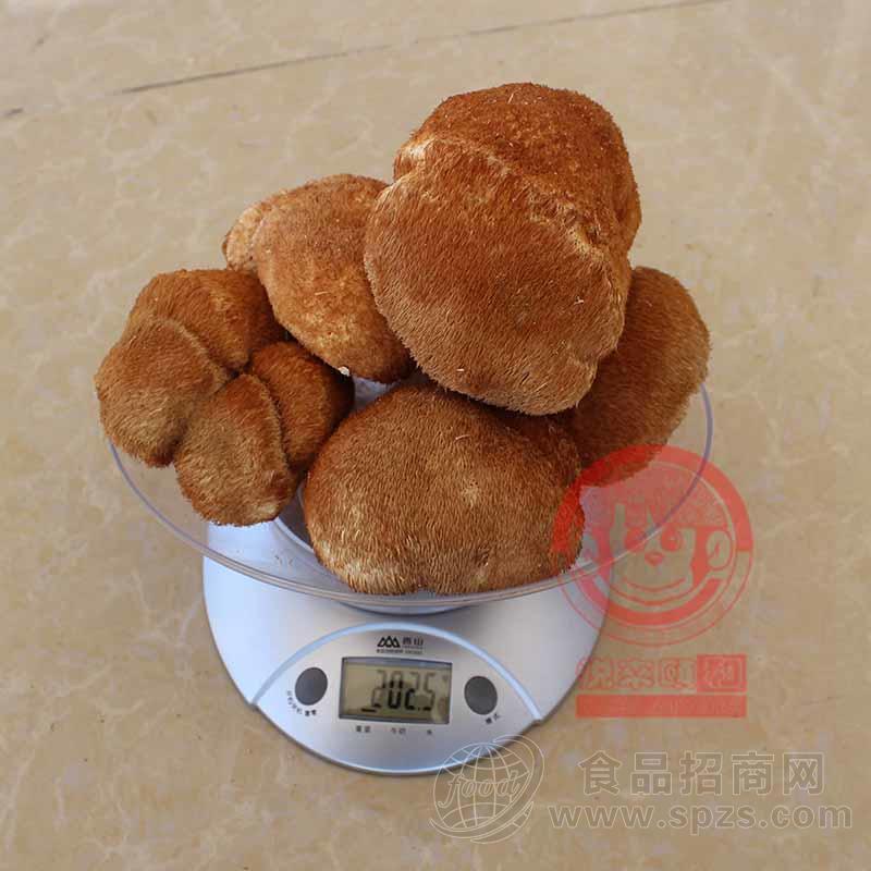 东北海林猴头菇干货