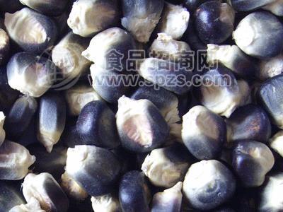 黑糯玉米种
