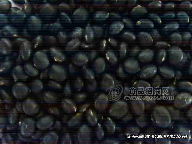 青仁乌豆种