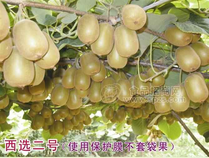 猕猴桃花粉厂家直销
