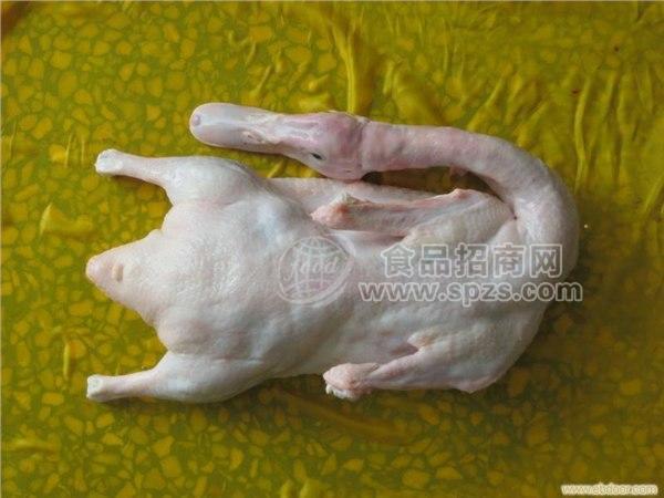 合肥批发 冷冻白条鸭