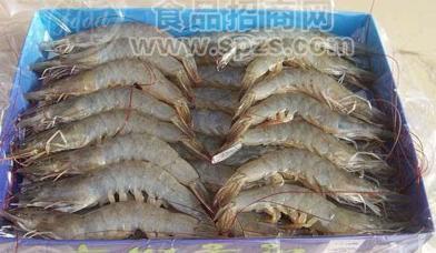A级进口冷冻去头青虾 白对虾