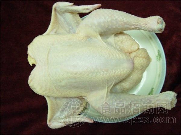 冷冻老母鸡 童子鸡
