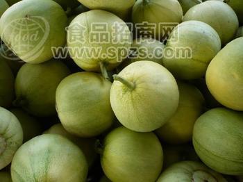 大量供應(yīng)無公害甜瓜