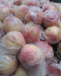 陜西桃子，（超越 秦王 200-1）桃子供應(yīng)