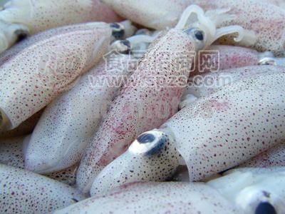 供应冷冻墨鱼、冷冻未去壳墨鱼仔、冷冻进口墨鱼仔