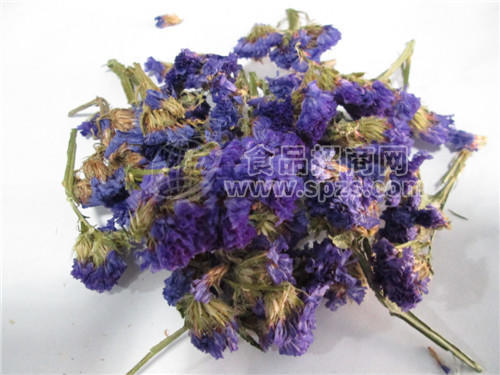 批发供应纤芙蓉勿忘我花花茶代理花茶