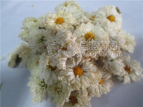 批发供应纤芙蓉贡菊花茶代理花茶