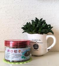 开心果 坚果炒货 瓶装