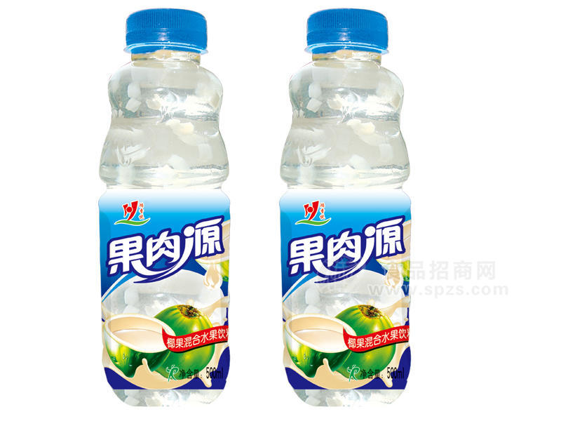 ·果肉源500ml-椰果 