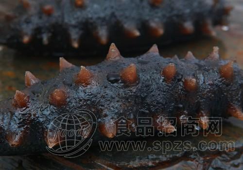盐干海参