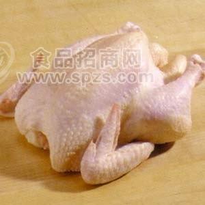 销售特价土鸡批发