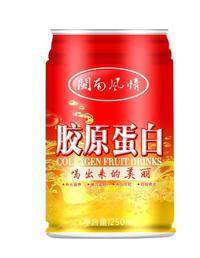 閩南風(fēng)情膠原蛋白250ml