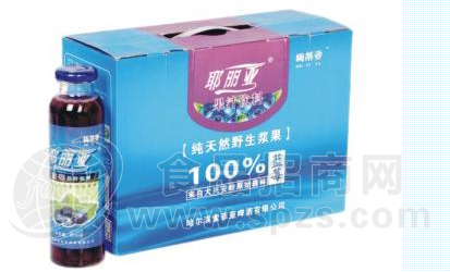蓝莓果汁1