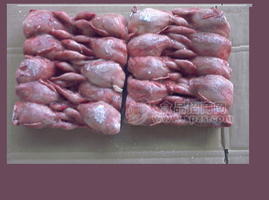 大量销售鹌鹑 骨肉相连