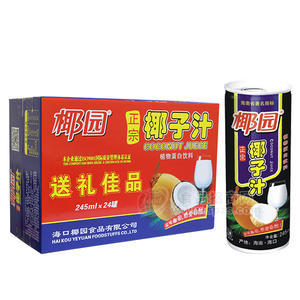 椰园 正宗椰子汁245gx24罐