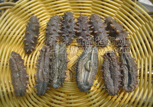 拉缸盐海参