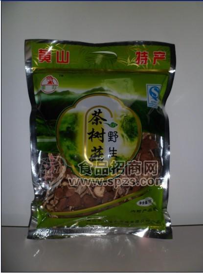野生茶树菇
