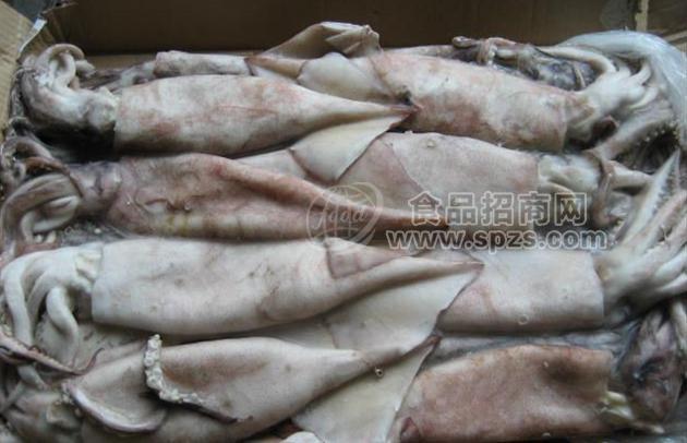 供应进口冷冻南美白对虾冷冻去头虾特级墨鱼蛋鱿鱼蛋鱿鱼干