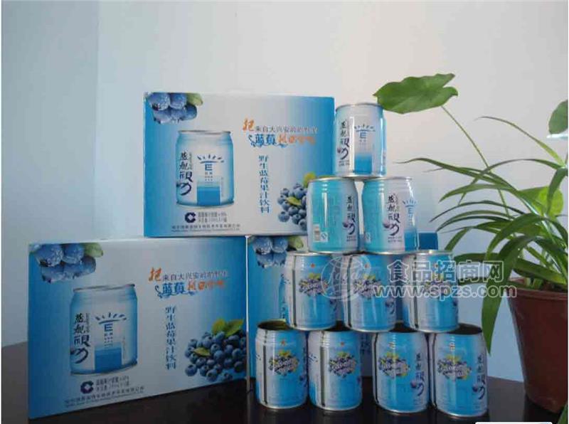 蓝海舰队蓝舰视力蓝莓果汁饮料