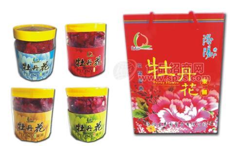 牡丹花（瓶）