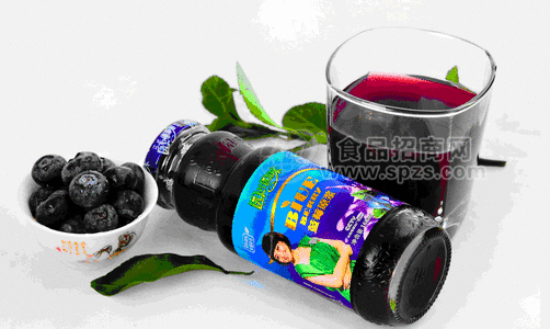 园汁园味蓝莓原浆168mlx10瓶