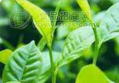 饮料用天然抗氧化剂