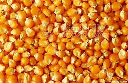 湖北通利水产养殖收购玉米大豆小麦棉粕