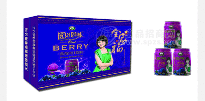 园汁园味易拉罐饮料248ml 16瓶